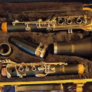 Black Clarinet with Gold Accents